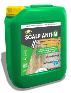 Scalp Anti-M