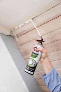 Mousse expansive Power