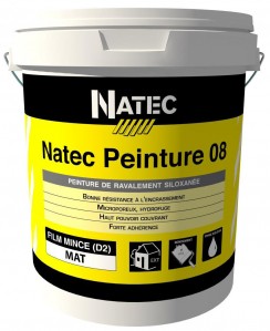 Natec Peinture 08