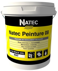 Natec Peinture 08