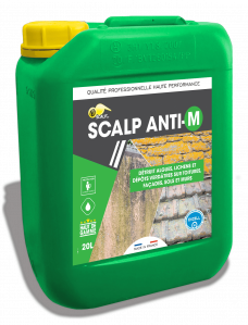 Scalp Anti-M